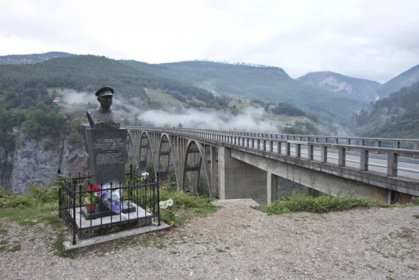Памятник Джурджевичу.