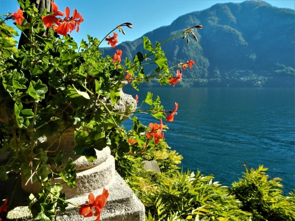 Вилла Бальбьянелло VILLA BALBIANELLO