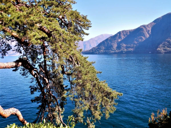 Вилла Бальбьянелло VILLA BALBIANELLO