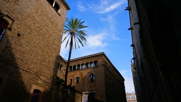 Церковь Сантос-Жуст-и-Пастор Источник: http://travelask.ru/spain/barcelona/goticheskiy-kvartal