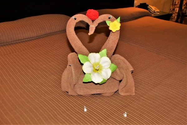 Отель "ClubHotel Riu Tequila All Inclusive" 5*. Номер стандарт.