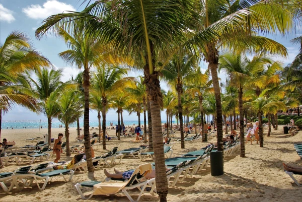 Отель "ClubHotel Riu Tequila All Inclusive" 5*. Наш пляж!!!