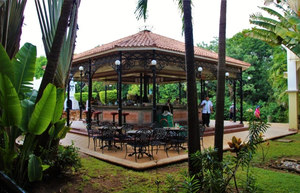 Отель "ClubHotel Riu Tequila All Inclusive" 5*. Бар  "Bar Salon Maguey".