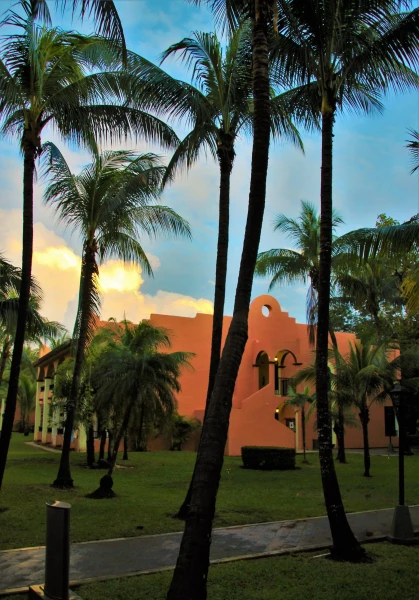 ClubHotel Riu Tequila 5*.