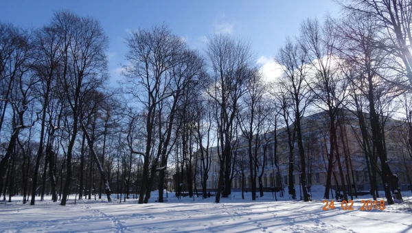 Михайловский сад