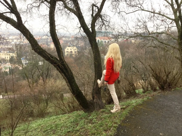 На горе Геллерт