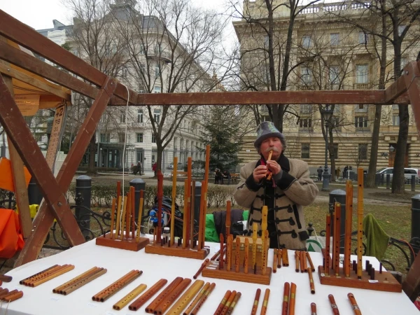 На фестивале мангалиц.