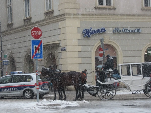 Вена.