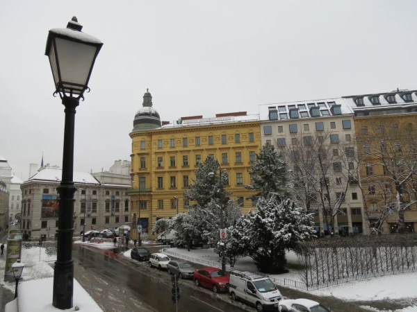 Вена.