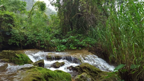В заповеднике El Nicho