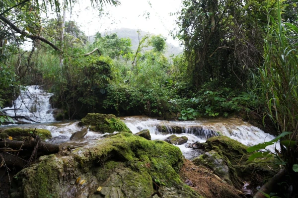 Многочисленные водопады заповедника El Nicho