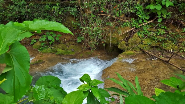 Многочисленные водопады заповедника El Nicho
