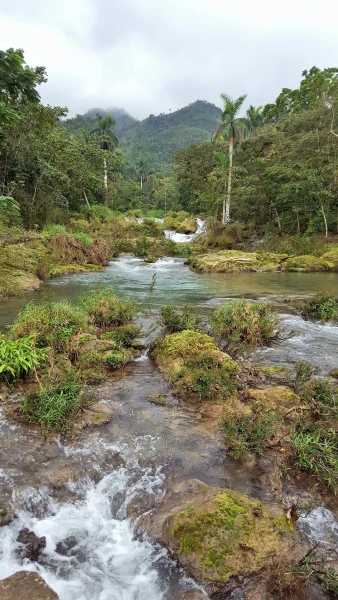 Многочисленные водопады заповедника El Nicho