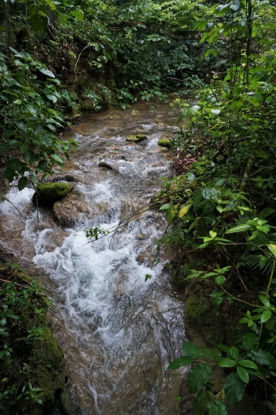 Многочисленные водопады заповедника El Nicho