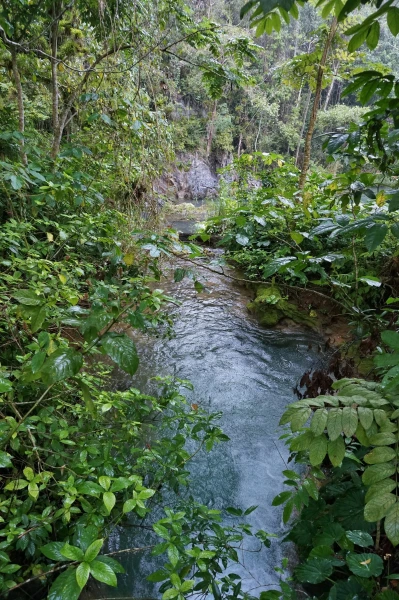 Многочисленные водопады заповедника El Nicho