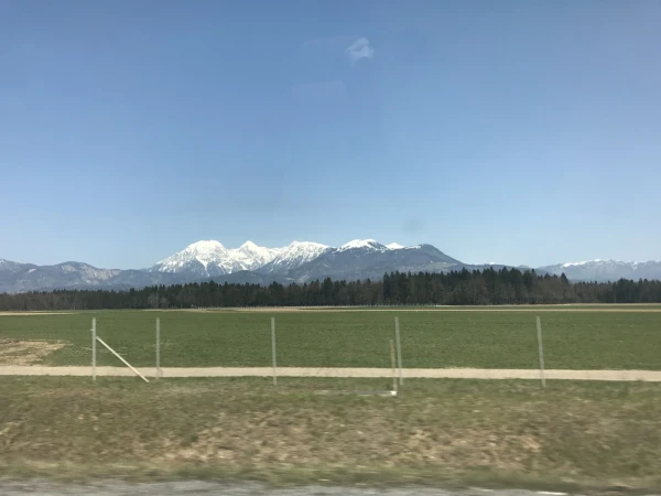 Курс на озеро Блед