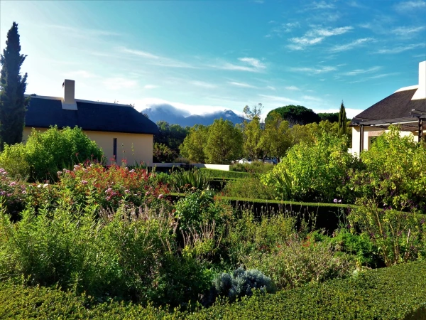 Старинная винная ферма Stellenbosch