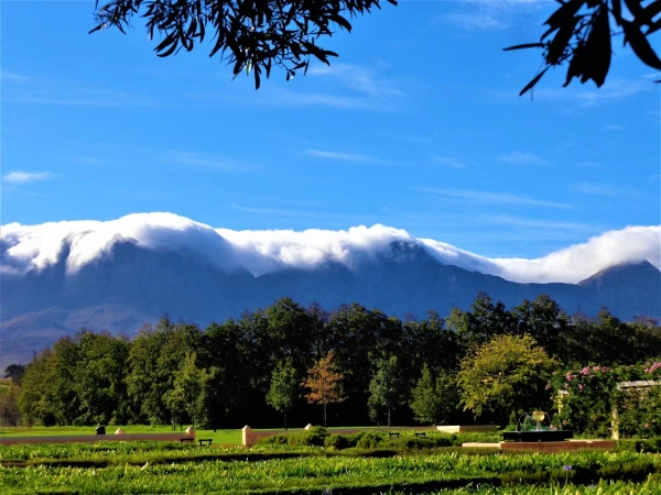 Старинная винная ферма Stellenbosch