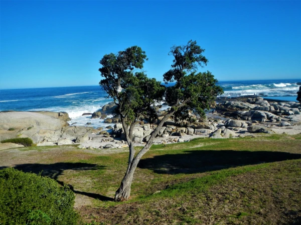 Camps Bay