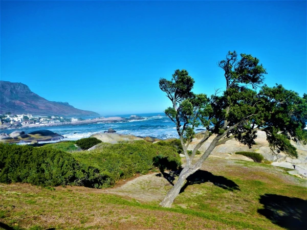 Наш район Camps Bay