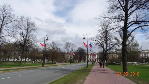 Аллея Смольного...