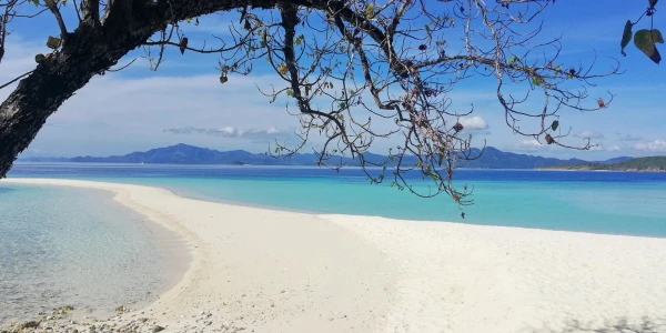 Bulog  Island