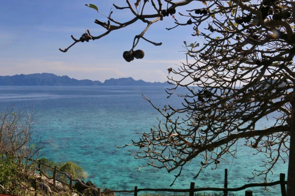 Bulog  Island