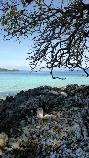 Bulog  Island