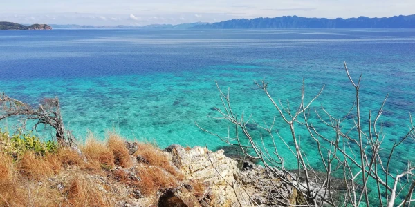 Bulog  Island