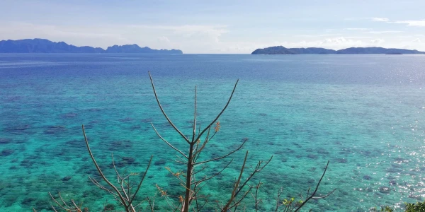 Bulog  Island