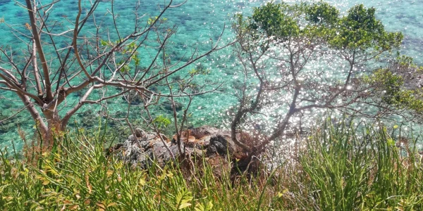 Bulog  Island