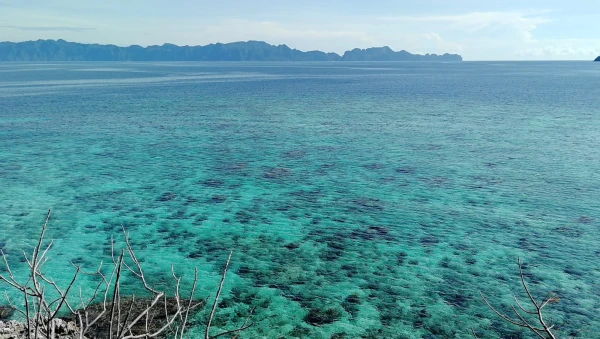Bulog  Island