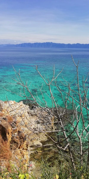 Bulog  Island