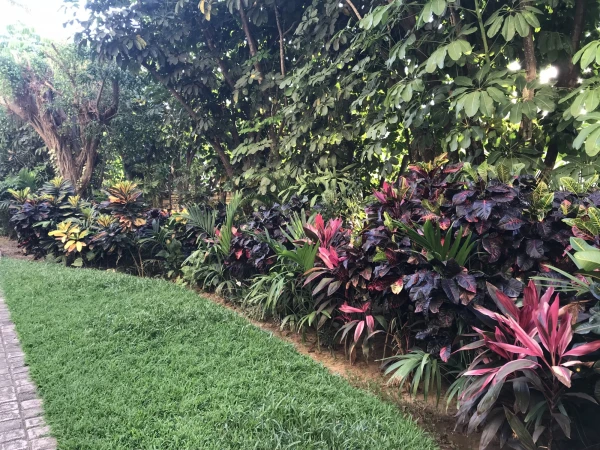 CasaMagna Marriott Puerto Vallarta Resort &amp; Spa 5*