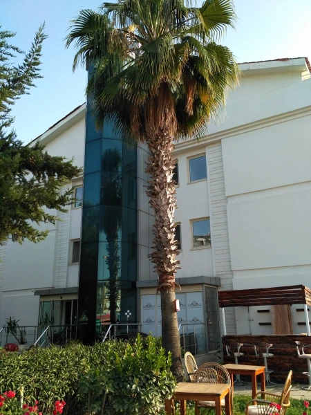 Отель для трезвенников и отдыхающих без детей. Nergos Villa Gizem 3*