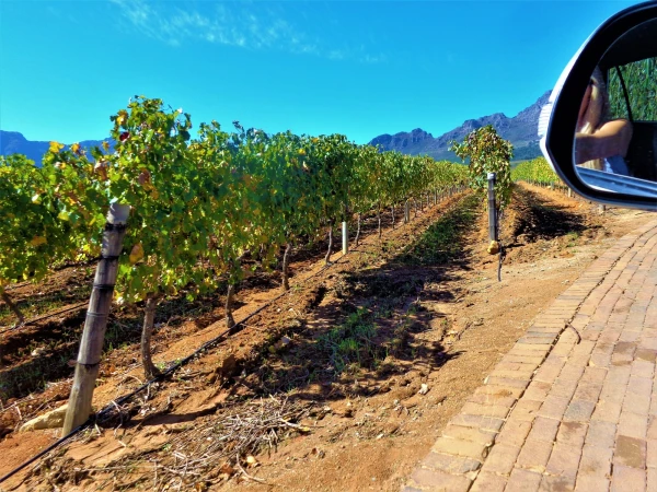 Stellenbosch