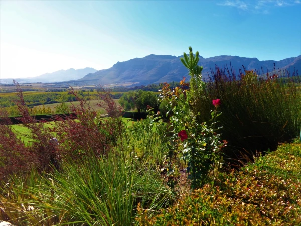 Stellenbosch . Винное хозяйство Ernie Else