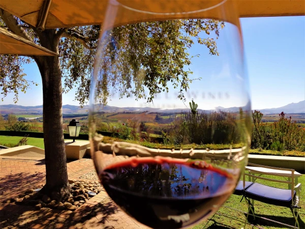 Wine tasting