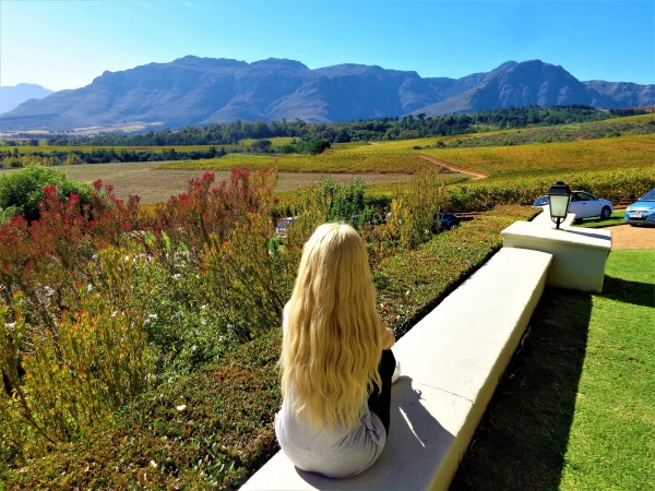 Stellenbosch . Винное хозяйство Ernie Else