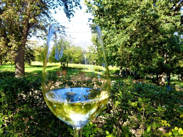 Klaine Zaltze. Restaurant Terroir - здесь мы славно отобедали