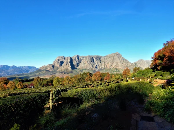 Delaire Graff Estate