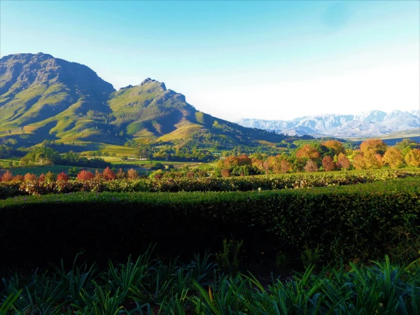 Delaire Graff Estate