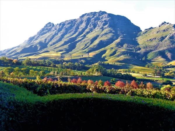 Delaire Graff Estate