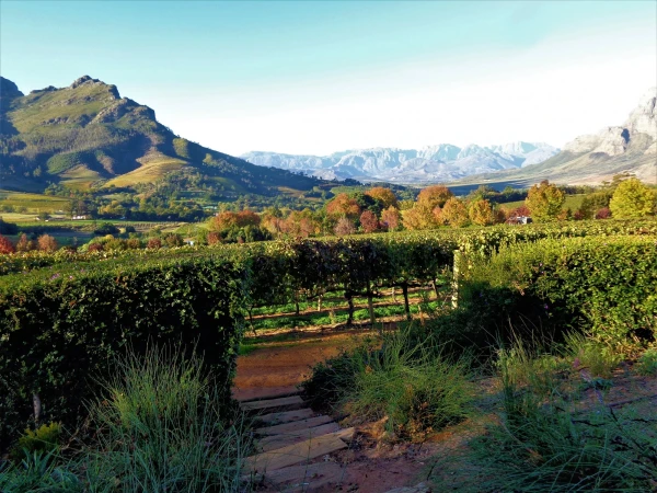 Delaire Graff Estate