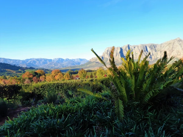 Delaire Graff Estate