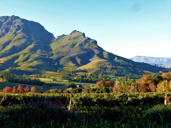 Delaire Graff Estate