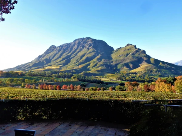 Delaire Graff Estate