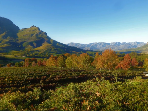 Delaire Graff Estate