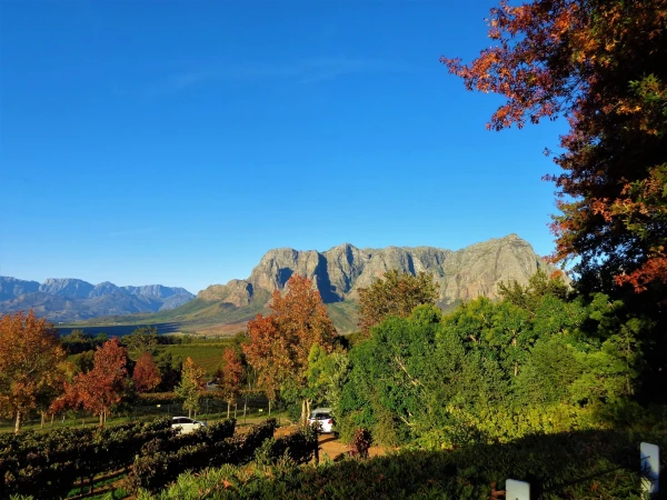 Delaire Graff Estate