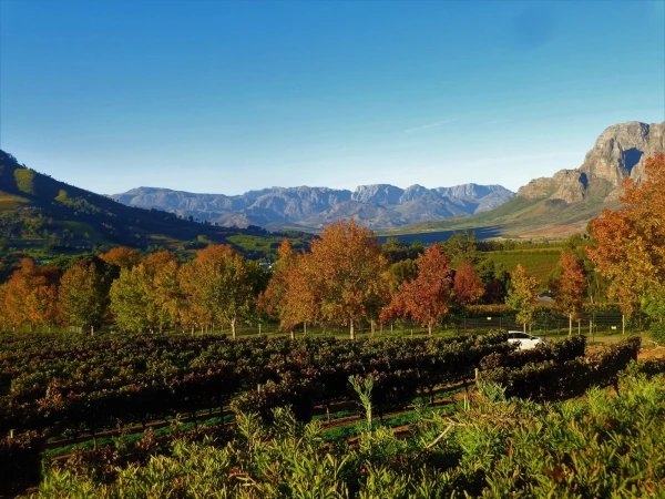 Delaire Graff Estate